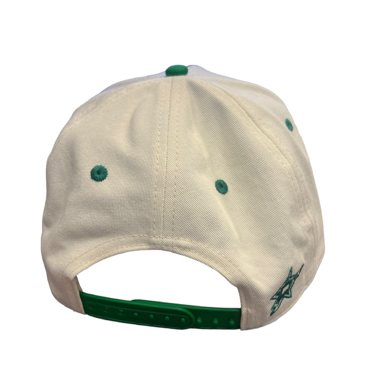 DALLAS STARS JRT DUTCH DOWN IN DALLAS CAP- CREAM - BACK VIEW