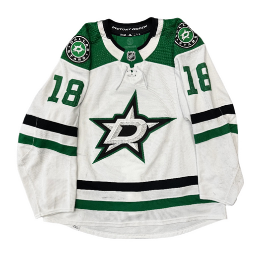 Photo of Dallas Stars Game Worn Away Michael Raffl Jersey - Front View